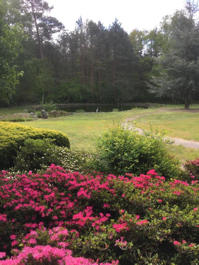 Haus Am Parc Hotel Meppen Luaran gambar